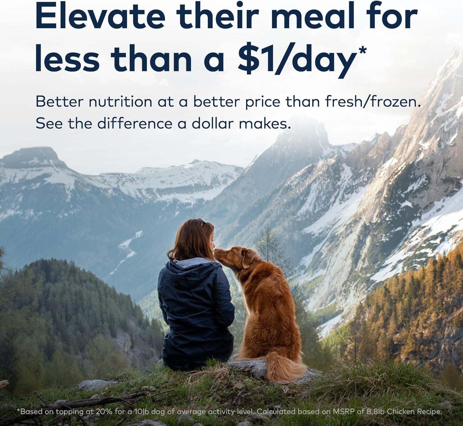 Peak Premium Air-Dried Beef Dog Food – High Protein + Superfoods (16 oz)