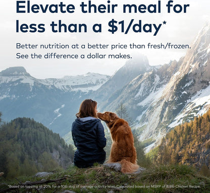 Peak Premium Air-Dried Beef Dog Food – High Protein + Superfoods (16 oz)